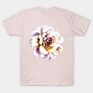 White Rose T-Shirt